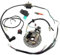 Baceyong Dirt bike allumage dirt 125cc Faisceau de câblage Bobine d'allumage Magneto Stator pour Dirt Pit Bike 50cc 70cc 110cc 125cc