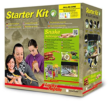 Lucky Reptile Starter Kit Schlange, Farbe:Schwarz, Terrarienmaße (B/T/H):50 x 28 x 40 cm