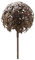 Wunderschöner & Hochwertiger Gartenstecker – Rost Blume/Blumenstecker – Große Auswahl – Edelrost Dekoblume – Metall Gartendeko (Allium 3D - Ø 20cm)
