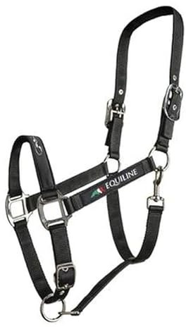 Equiline Halfter Timmy, Stallhalfter mit Doppel Dornschnalle Farbe Green, Größe Warmblut