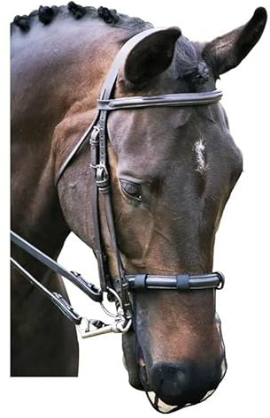 Equilibrium Net Relief - Maulkorbnetz (Schwarz, M/L (Cob/Horse))