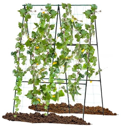 COSTWAY Gurke Rankhilfe Set, A-förmig, einstellbare Breite, Rankgitter mit Netz, Pflanzenhalter Metall, Pflanzenstütze für Kletterpflanzen Blumen Gemüse, Pflanzenspalier Schwarz (88 x 30-60 x 124 cm)