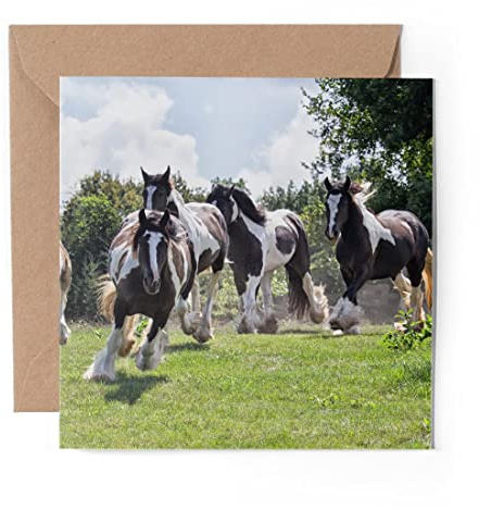 1 x Grußkarte (Fotoeinsatz) – Gypsy Vanner Pferd Herde – blanko Geburtstagskarte Jahrestag #45272