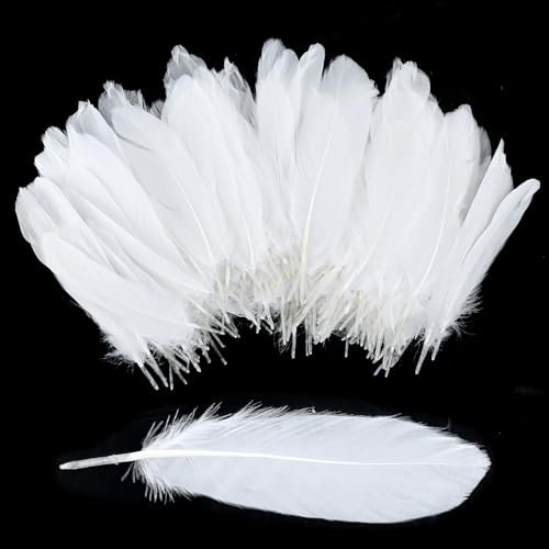 200 Stück Bastel Federn, Bunte Deko Federn, Federn Basteln, Natürliche Federn, Federn zum Basteln für DIY Ohrring, Hochzeit, Traumfänger, Kopfschmucksfedern, Ostern, Weihnachten (Weiß)