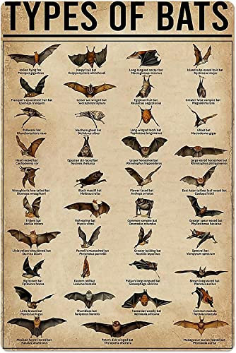 Oudrspo Types Of Bats Metal Tin Signs Retro Bat Breed Bat Knowledge Posters Farmhouse Classroom Home Wall Decor Plaques 12x16 Inches
