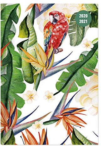 Collegetimer Tropical Dream 2020/2021 - Schüler-Kalender A5 (15x21 cm) - Tropischer Traum - Weekly - 224 Seiten - Terminplaner - Alpha Edition: ... - Tropischer Traum (Collegetimer A5 Weekly)