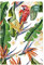 Collegetimer Tropical Dream 2020/2021 - Schüler-Kalender A5 (15x21 cm) - Tropischer Traum - Weekly - 224 Seiten - Terminplaner - Alpha Edition: ... - Tropischer Traum (Collegetimer A5 Weekly)