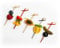 CANAPE KING Disposable Bamboo Skewers - Natural Fruit Sticks Reusable Drink Stirrers Wooden Musubi Cocktail Sticks - for Wedding Parties Catering (Green, 6cm (100 pcs))