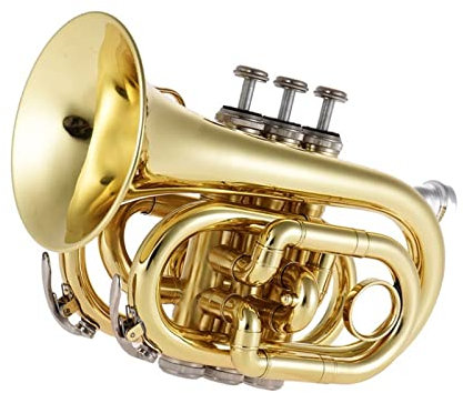 Professionelle Taschentrompete Flach B Bb Trompete Blechblasinstrument Mit Mundstück Handschuhe Tuch Bürste Fett Hartschalenkoffer Anfänger Trompete