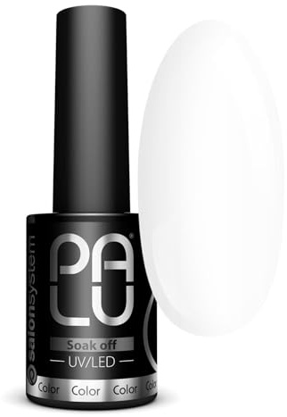 PALU – UV Nagellack LED Hybridlack – Gel Nagellack UV ROMA – Glatte Oberfläche – Hohe Pigmentierung – hält bis zu 3 Wochen – Professionelle Qualität Nageldesign – 11 g – RO2 – Grau