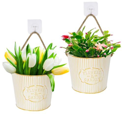 BOFUNX 2 Macetas Pared Maceteros Colgantes de Metal Jardineras Vintages para Colgar Decoración Interior Exterior Balcón Jardín Patio Pared Terraza para Flores y Plantas