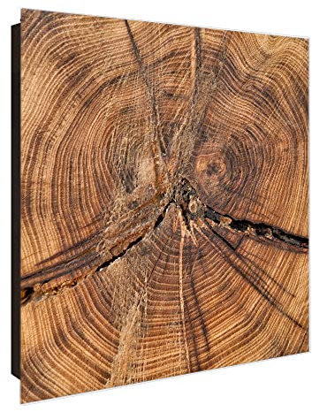 banjado® Großer Schlüsselkasten Glas/Schlüsselbox 30cm x 30cm mit 50 Haken - Motiv Jahresringe/Schlüsselkasten modern für Schlüsselaufbewahrung mit beschreibbarer, magnetischer Glastür