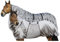 Riding World - Ekzemerdecke | Fliegendecke mit abschwitzender Wirkung | Pferdedecke mit Bauchlatz & verstellbaren Riemen & Bändern | Abschwitzdecke Pferd & Pony | Stalldecke in Grau | 110 cm