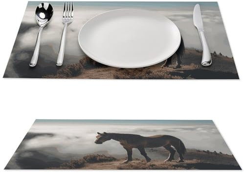 Platzdeckchen-Set, Pferd auf einem nebligen Berggipfel, PVC, hitzebeständig, Tischmatte für Küche, Schreibtischschutzmatte, abwischbare Platzsets, rutschfeste Schreibtischunterlage für Esstisch