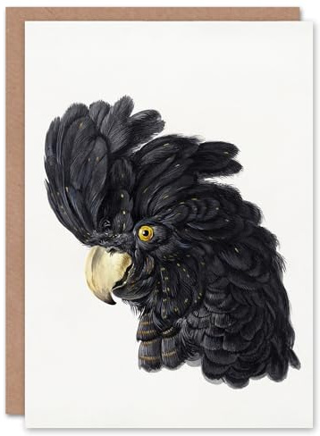 Artery8 Aert Schouman Art Card Head of a Black Cockatoo Watercolour