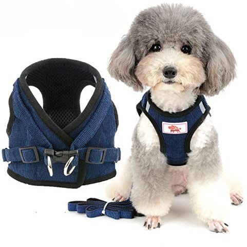 Zunea No Pull Small Dog Harness and Lead Set Step-in Puppy Vest Blue, XL | Reflective, Adjustable, Soft Corduroy, Breathable Mesh Lined, Daily Walks and Outdoor Wear, for Pet Chiahuahua Yorkie Cats