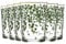 LAV 6x Green Leaf 520ml Bodega Highball Glasses - Tall Hi Ball Glass Water Gin Juice Cocktail Drinking Glassware Tumblers Set