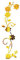 LELE LIFE Adesivi da parete in acrilico con motivo a fiori di vite, decorazione da parete, per casa, soggiorno, camera da letto, colore: oro