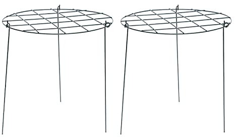 Cabilock Gitter 2Pcs Erdbeere Unterstützt Erdbeere Wachsenden Racks Rahmen Anlage Unterstützt K?fige Tomaten Spalier für Garten Gitter Für Gartenpfähle