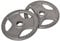 HOMCOM Set of 2 Cast Iron Weight Plates for 2/5cm Hole Dumbbell Handle Bar, Barbell Weight 2 x 10kg