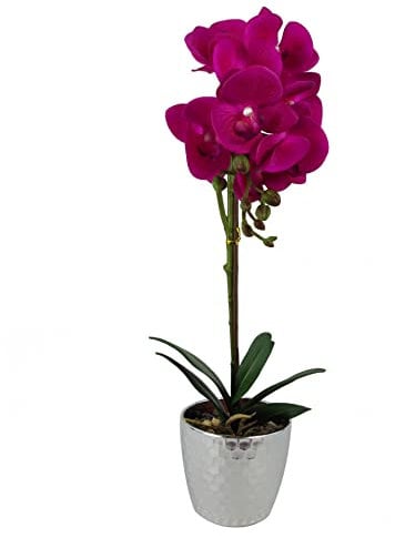 Leaf Design UK Realistic Artificial Orchid Flower Display in Pot, 50cm, Dark Pink Silver