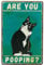 Vintage Metal Cat Poster,Funny Black Cat Are You Pooping Tin Sign,Are You Pooping Tin Toilet Sign Wall Art Retro Cat Decor,Funny Plaqu Poster Wall Print Decoration for Home Kitchen Bar Club 8X12inch