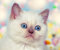 GoOpticians Cute White Cat Microfiber Glasses Cleaning Cloth Spectacle Microfibre 15cm x 18cm