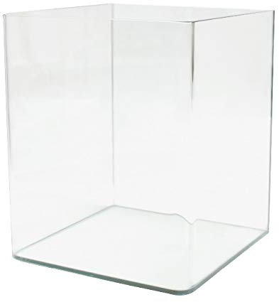 Amtra Nanotank 60 - Aquariumbecken 60 Liter - Glasgehäuse extra klar 38 x 38 x 43 cm - Schale für Goldfische oder als Schildkrötenschale für Wasserschildkröten inkl. Stoßdämpfungsmatte