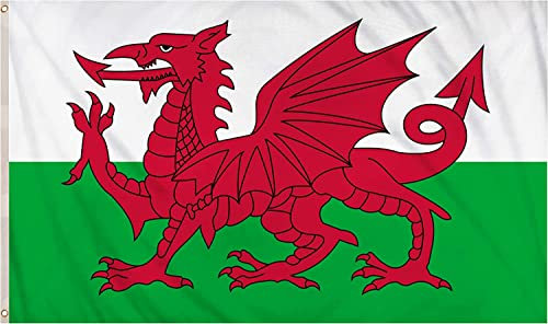 SHATCHI Große Wales-Flagge, Walisischer Drache, Cymru, Nationalflagge, Polyestergewebe, Messing-Ösen, für FIFA Weltmeisterschaft, Fußball, Rugby, Sport