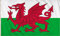 SHATCHI Große Wales-Flagge, Walisischer Drache, Cymru, Nationalflagge, Polyestergewebe, Messing-Ösen, für FIFA Weltmeisterschaft, Fußball, Rugby, Sport