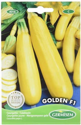 Germisem Golden F1 Semillas de Calabacín Amarillo 2 g, EC4016