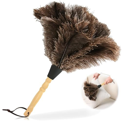 Nizirioo Plumeau d'autruche 34 cm Plumeau avec Manche en Bois pour Chambre Salon Bibliothèque