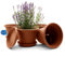 BigDean 4 Stück Blumentopf mit Untersetzer rund ø 25 cm Terracotta – wetterfester Pflanzkübel Made in Europe