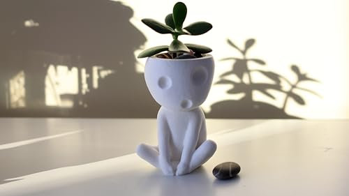 Kodama Pflanzgefäß – Studio Ghibli inspirierter Indoor-Topf – Dekoration – Mini-Pflanzgefäße für Sukkulenten – Baumgeister – Kooki & Keera (M, 12 cm)