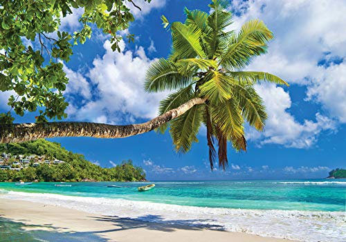Forwall Fototapete Strand Meer Palmen Karibik Tropen Landschaft Wohnzimmer Schlafzimmer Vlies Tapete Wandtapete UV-Beständig Montagefertig (10332, VEXL (208x146 cm) 2 Bahnen)