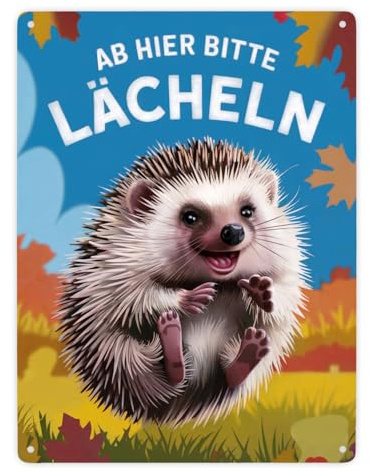 Fröhlicher Igel - Ab hier lächeln Metallschild XXL in 28x38 cm Herbstblätter blauer Himmel freudiger Ausdruck - Verspieltes Metallschild XXL in 28x38 cm für gute Laune überall