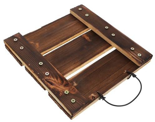 LOORGVEL Felce A Corna di Cervo Pianta da Appendere Decorazione Rustica per Fattoria Pianta Carbonizzata Quadrata Pianta di Felce Pianta di Felce Attaccata Quadrata Piantagione