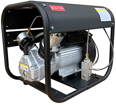 30Mpa 300Bar 4500Psi PCP Air Compressor High Pressure Pump Set Pressure for Pneumatic PCP Air Tank Scuba 110V/220V YIJIAN (Size : 110V)