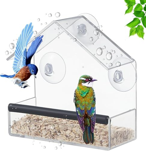 Xemnys Comedero para Pájaros de Ventana, Comederos Pequeños para Pájaros Solo para Pájaros Pequeños, Comederos Transparentes para Pájaros con Ventosas Fuertes, Estación de Comida para Observación de