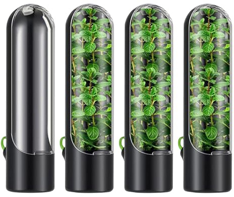 Lot de 4 boîtes de conservation pour herbes aromatiques - Pour coriandre | basilic, menthe, persil, céleri, cuisine, réfrigérateur, repas