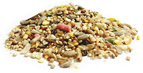 Pet Performance Garden Feast Wild Bird All Season Mix With Mealworms & Suet Pellets 12.55kg