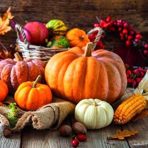 20 Servietten Ernte von Kürbisse | Erntedankfest | Garten | Halloween | Tischdeko 33x33cm