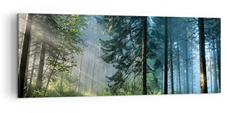 ARTTOR Leinwandbild 140x50cm Wandbild Botanik Landschaften - 4398