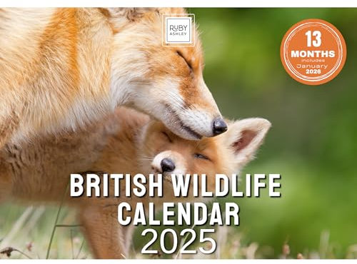 2026 British Wildlife Calendar – Nature & Animal Wall Calendar UK – Printed in the UK