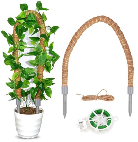 woonyee Tutor Monstera, Tutores para Plantas, Tutores para Monstera, Tutor Musgo, Bendable Double Head Stand with Gray PVC Head for DIY, Indoor and Outdoor Plant Climbing Support and Space Decoration