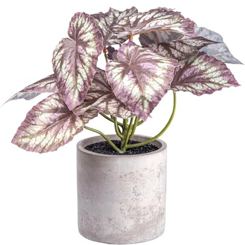 CREATIV green künstliche Grünpflanze 22cm im Zementtopf mit Erde I künstliche Begonie grün-rosa mit 12 Blättern I Künstliche Zimmerpflanze I künstliche Dekopflanze I hochwertige Kunstpflanze für innen