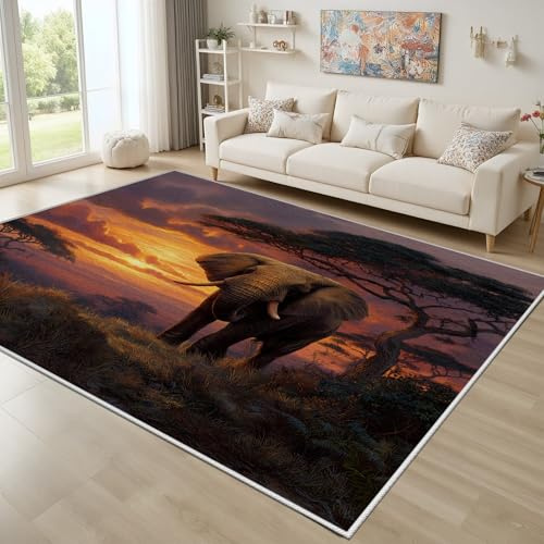 Dyjuaa Tierwelt Elefant Fußmatte Schmutzfangmatte 60x90cm, Afrika Wildtiere Teppich Antirutsch Waschbar, Sonnenuntergang Landschaft Teppich Kurzflor für Hund, Eingang, Haustür, Balkon, Küche, Flur