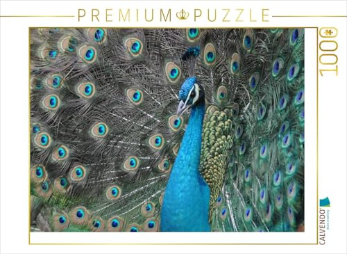 CALVENDO Puzzle Stolzer Pfau | 1000 Teile Lege-Größe 64 x 48 cm Foto-Puzzle für glückliche Stunden