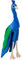 Nature Planet Cornelissen Kuscheltier - Funkyland - Pfau 60 cm