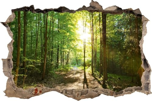 DesFoli Wandtattoo Wald Natur Bäume - verschiedene Rahmentypen DW000190 Farbe Brauner Stein Querformat, Größe 105 cm x 70 cm